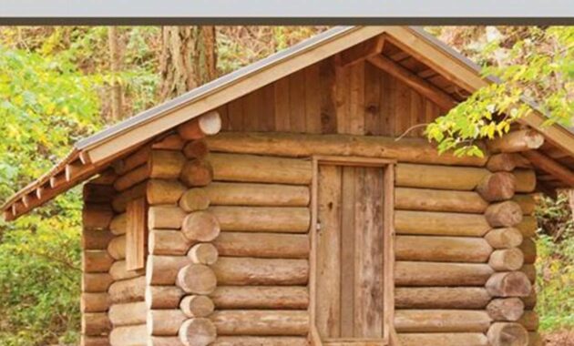 Everything You Need to Know About Off-Grid Living: A Comprehensive Guide